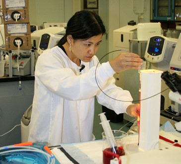 Biomed Student