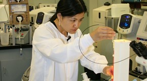 Biomed Student